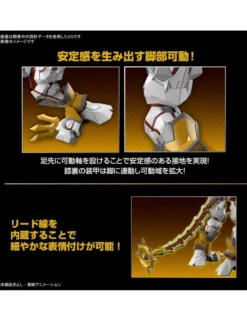 Bandai Figure-Rise Standard Amplified Digimon ShineGreymon
