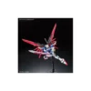 Bandai Real Grade RG 1/144 Mobile Suit Gundam ZGMF-X42S Destiny Gundam