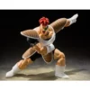 Bandai S.H. Figuarts Dragon Ball Z Rikoom