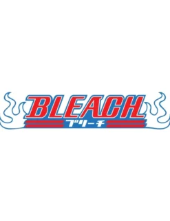 Banpresto Bleach Maximatic Toshiro Hitsugaya