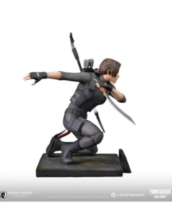 Dark Horse Tomb Raider The Legend of Lara Croft