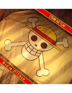 Doctor Collector One Piece a Netflix Series Recruitment Kit
