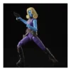 Hasbro Marvel Legends What If...? Heist Nebula
