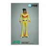 HL Pro Vynil Figure Collection Kotetsu Jeeg Hiroshi Shiba