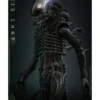 Hot Toys Movie Masterpiece Alien Big Chap 1/6 Scale Collectible Figure