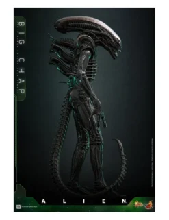 Hot Toys Movie Masterpiece Alien Big Chap 1/6 Scale Collectible Figure