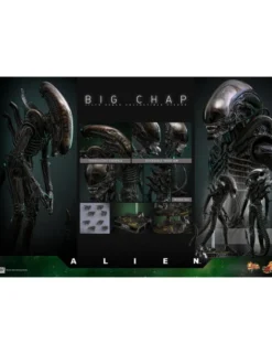 Hot Toys Movie Masterpiece Alien Big Chap 1/6 Scale Collectible Figure