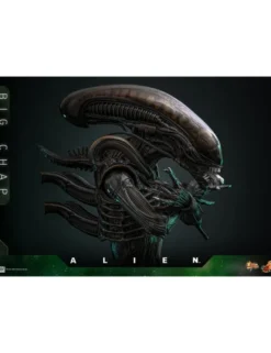 Hot Toys Movie Masterpiece Alien Big Chap 1/6 Scale Collectible Figure