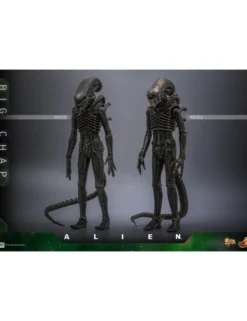 Hot Toys Movie Masterpiece Alien Big Chap 1/6 Scale Collectible Figure