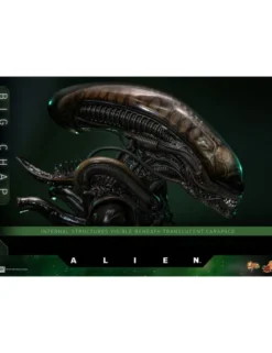 Hot Toys Movie Masterpiece Alien Big Chap 1/6 Scale Collectible Figure