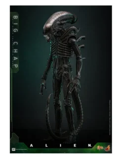 Hot Toys Movie Masterpiece Alien Big Chap 1/6 Scale Collectible Figure