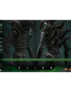Hot Toys Movie Masterpiece Alien Big Chap 1/6 Scale Collectible Figure