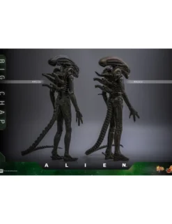 Hot Toys Movie Masterpiece Alien Big Chap 1/6 Scale Collectible Figure