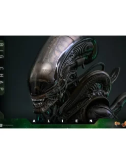 Hot Toys Movie Masterpiece Alien Big Chap 1/6 Scale Collectible Figure