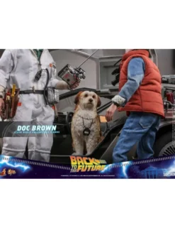 Hot Toys Movie Masterpiece Back To The Future Doc Brown 1/6 Scale Collectible Figure
