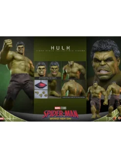 Hot Toys Movie Masterpiece Spider-Man: Brand New Day Hulk 1/6 Scale Collectible Figure