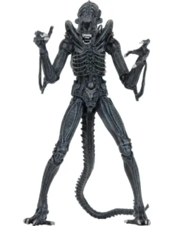 Neca Alien Blue Warrior Xenomorph