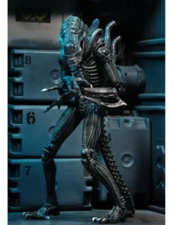 Neca Alien Blue Warrior Xenomorph