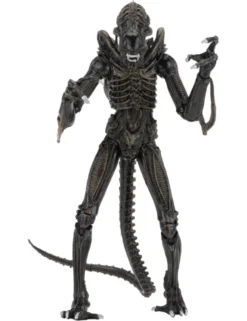 Neca Alien Brown Warrior Xenomorph
