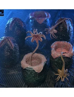 Neca Alien 40th Anniversary Xenomorph Eggs Set 6 Pack in Collectible Carton