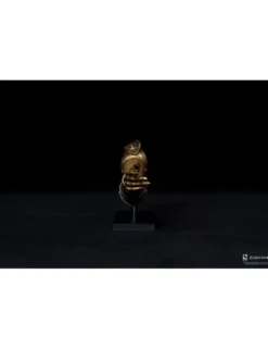 Pure Arts Elden Ring Helmet of Arm 1/3 Scale Mini Replica