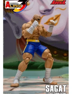 Storm Collectibles Storm Arena Street Fighter Alpha 3 Sagat