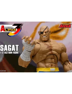 Storm Collectibles Storm Arena Street Fighter Alpha 3 Sagat