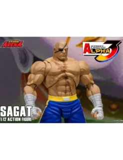Storm Collectibles Storm Arena Street Fighter Alpha 3 Sagat