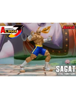 Storm Collectibles Storm Arena Street Fighter Alpha 3 Sagat