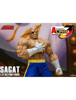 Storm Collectibles Storm Arena Street Fighter Alpha 3 Sagat